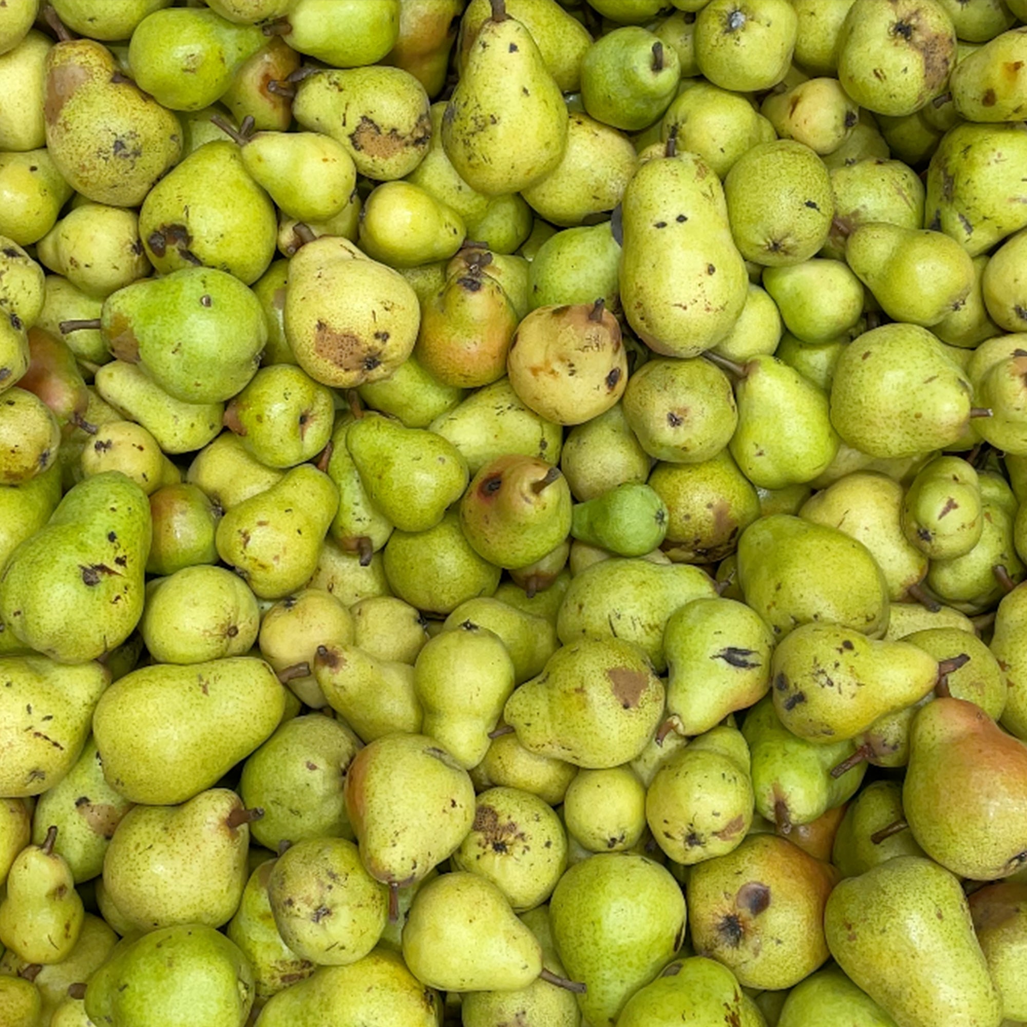 NON2 Caramelised Pear & Kombu 6 Pack